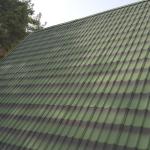 ONDULINE® ZİGANA TILE - Gölgeli Yeşil